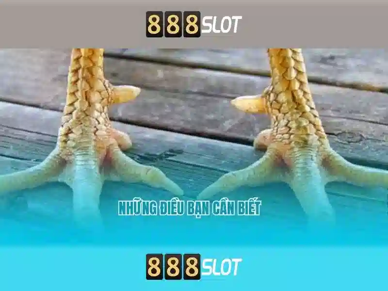Tải app 888 slot tải app ios miễn phí