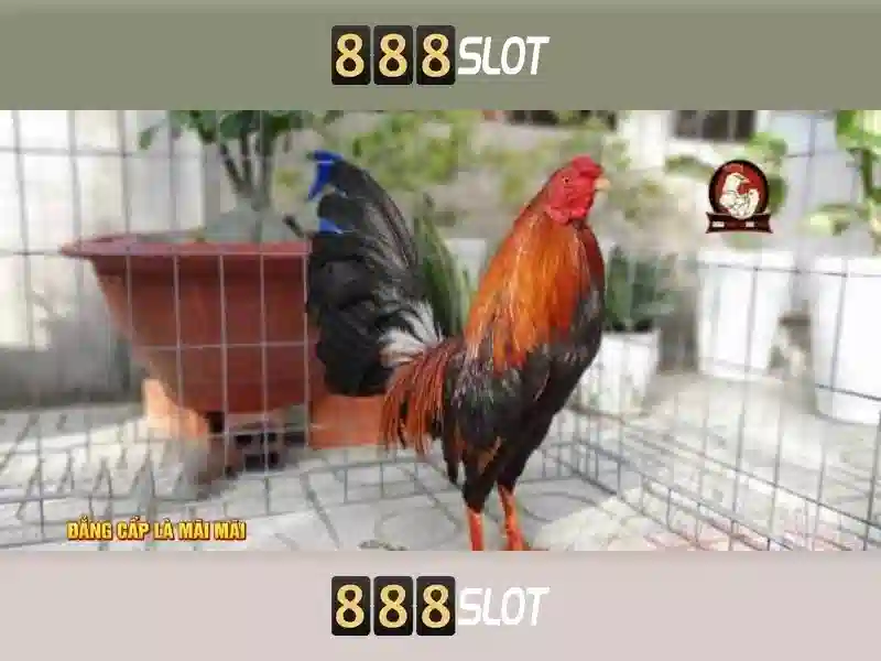 Hướng Dẫn Đăng Nhập 888slot