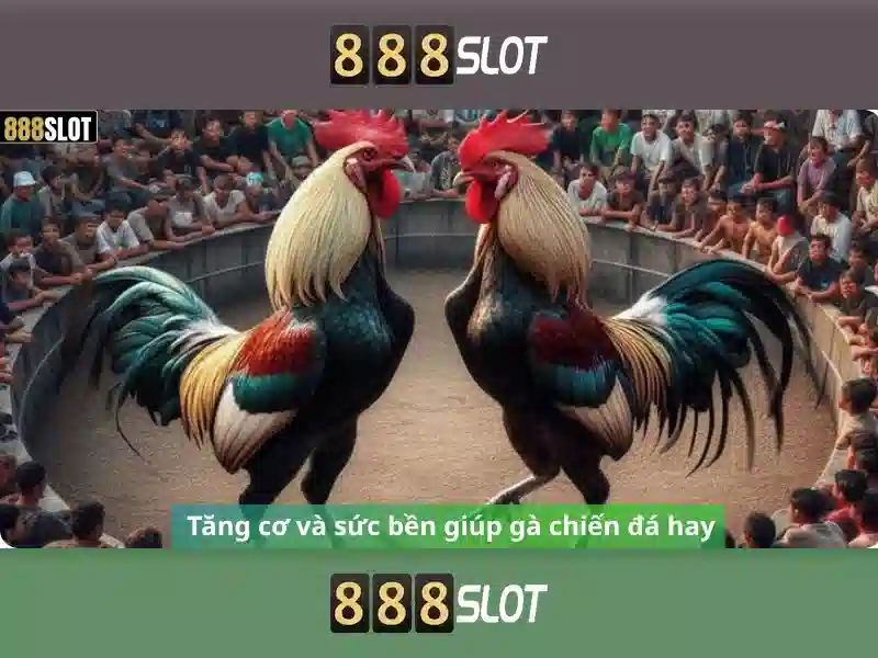 Ưu Đãi 888 Slot Vip