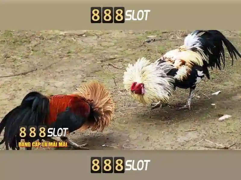 Lợi Ích Khi Sử Dụng 888slot Channel