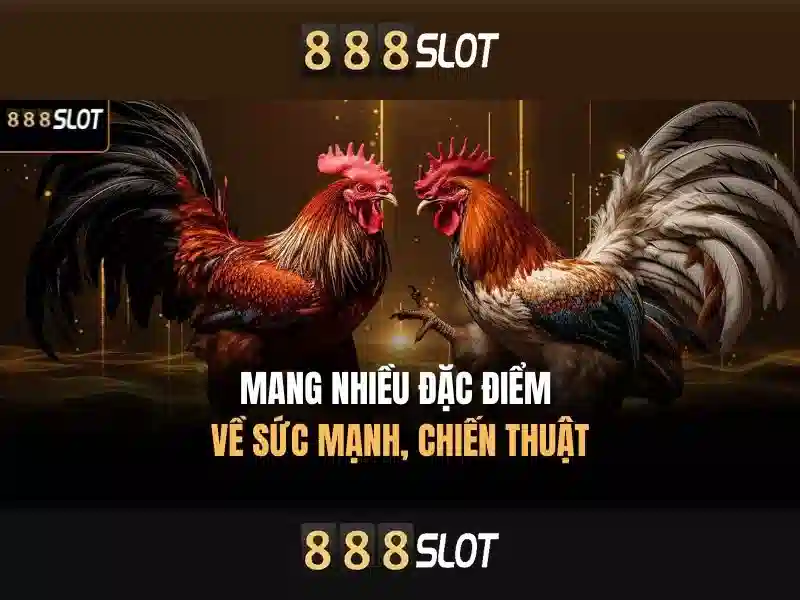 888SLOT trải nghiệm SLOT