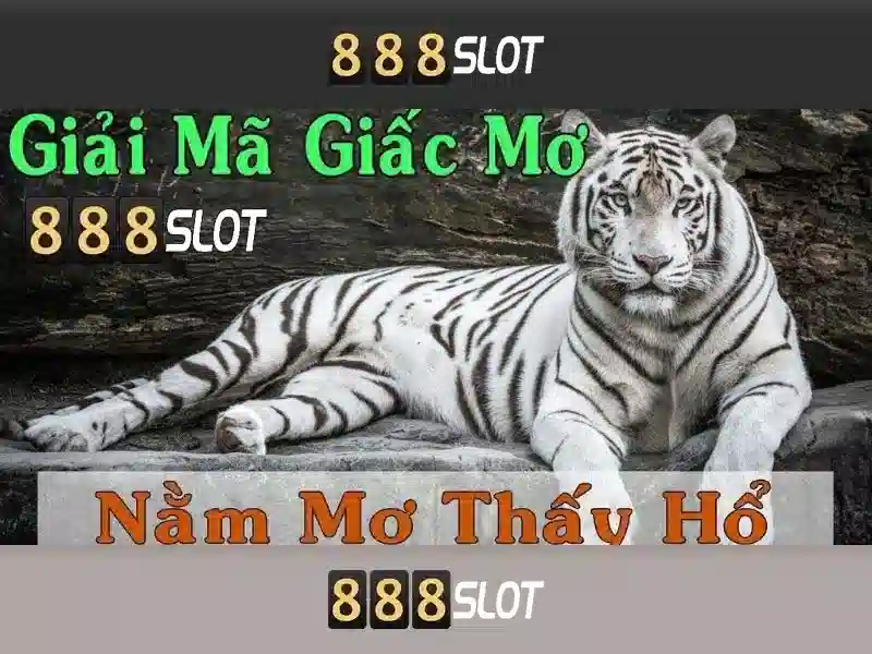Giải Pháp Slot Đa Dạng