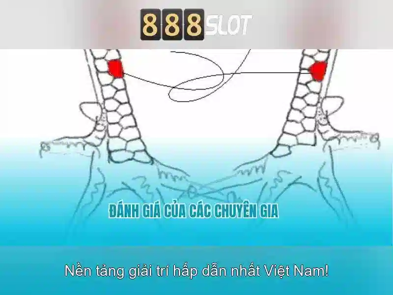 Trải nghiệm Slot đỉnh cao