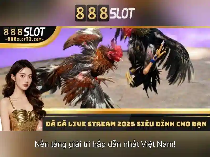 888SLOT - Trang Chính Thức Được Tài Trợ Bơi 888SLOT 2026
