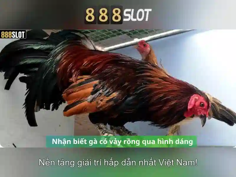 Bí Quyết Thắng Lớn