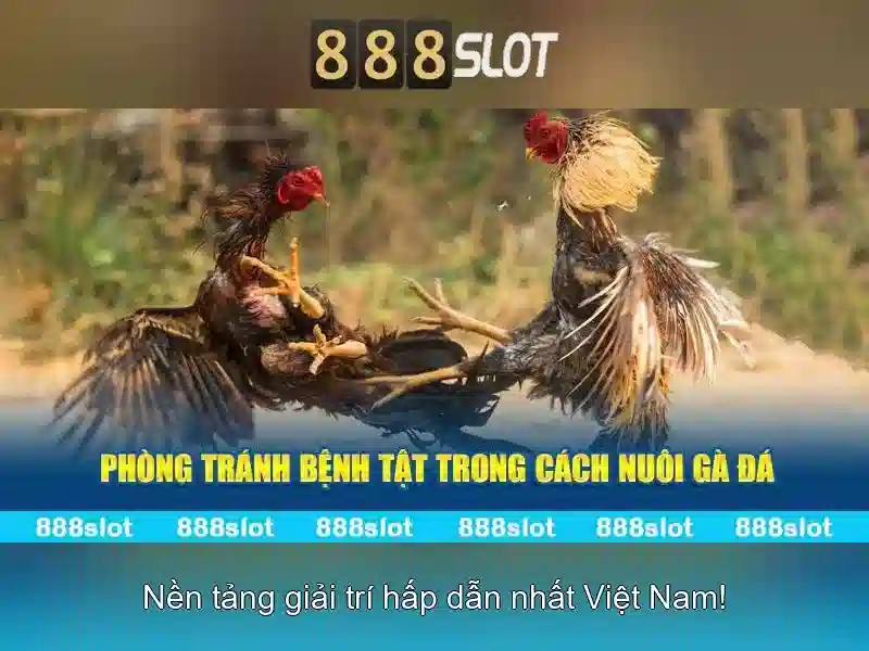 Ưu Điểm Nổi Bật Của 888SLOT