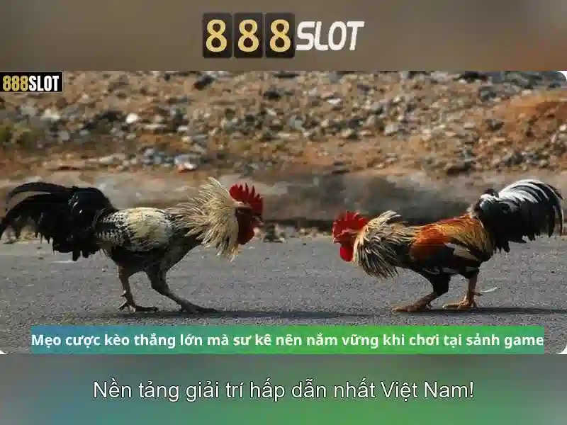 Ưu Điểm Nổi Bật Của 888SLOT